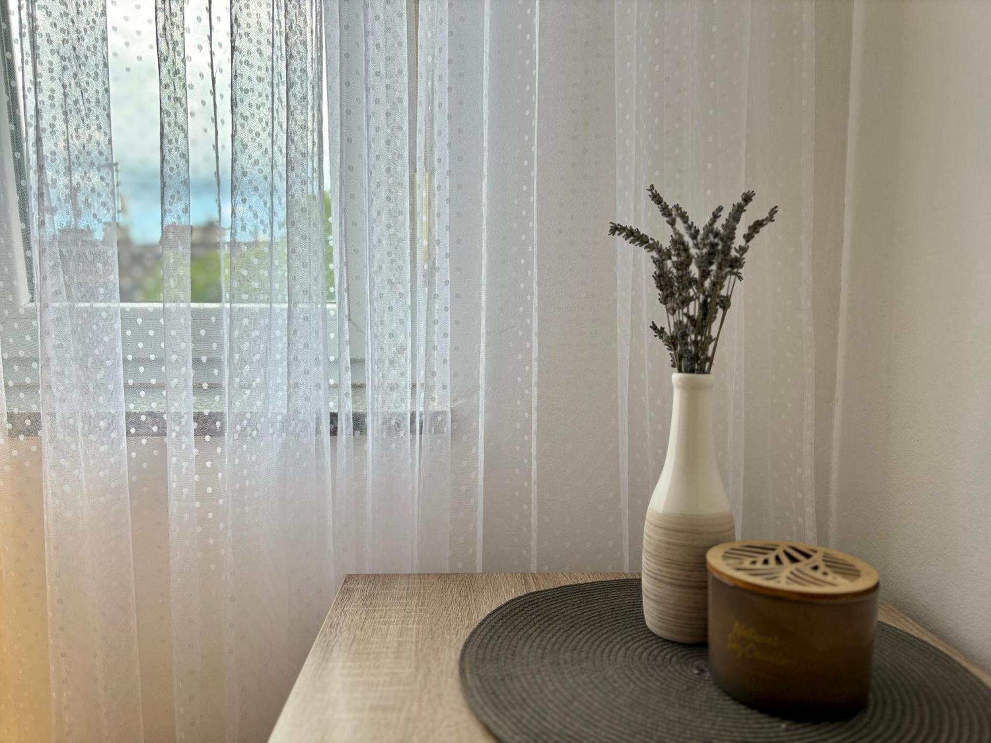 Apartment "Gabrijela" 普拉 外观 照片